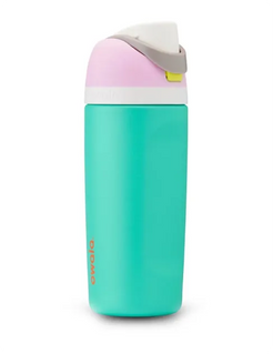 Kids Stainless Steel Water Bottle with Straw 16Oz